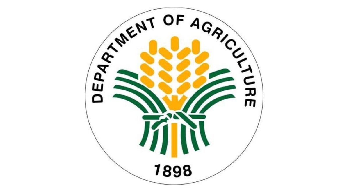 NFA Sells 32.5 Million Kilos of Aged Rice in One Day, Rakes In Nearly ₱1 Billion — and Opens Warehouse Space for Farmers