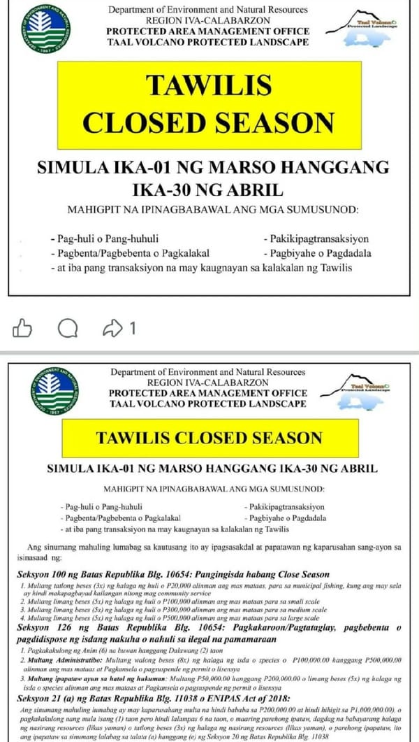 No More Catching Tawilis Starting Today — Two-Month Fishing Ban on Taal Lake's Endemic Sardine Begins March 1